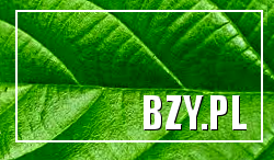 rośliny lecznicze, ogród, porady bonsai, uprawa roślin leczniczych, zdrowe odżywianie, lifestyle