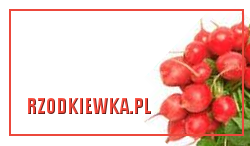 przyprawy, przepisy na zdrowe dania, przyprawy orientalne, kuchnia orientalna, zioła w kuchni