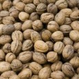 Aby zachować zdrowy umysł jak najdłużej, i&nbsp;aby być zdrowym przez cały czas, powinniśmy jeść różne produkty. Zróżnicowana dieta może zapewnić nam zdrowie, pod warunkiem, że nie jemy czegoś, na co...