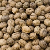 Orzechy a zdrowy umysł Aby zachować zdrowy umysł jak najdłużej, i aby być zdrowym przez cały czas, powinniśmy jeść różne produkty. Zróżnicowana dieta może zapewnić nam zdrowie, pod warunkiem, że nie jemy czegoś, na...