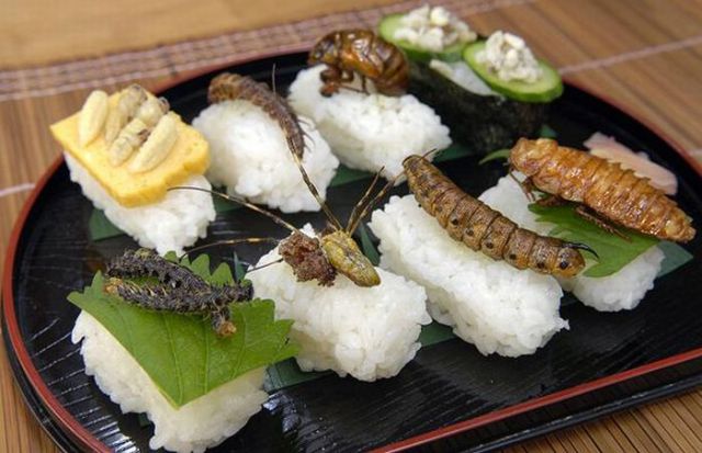 insect_sushi_04