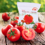 Uulubione warzywa Polaków: pomidor