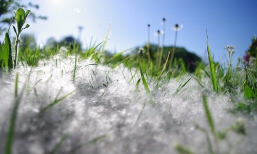 Etykiety przyjazne alergikom