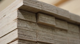 STEICO LVL – doskonała alternatywa dla tradycyjnych materiałów budowlanych BIZNES, Ochrona środowiska - Coraz większy popyt dowodzi, że innowacyjny i ekologiczny materiał, jakim jest LVL, zdobywa coraz silniejszą pozycję w branży budowlanej. Teraz docenili go również członkowie komisji konkursowej, nagradzając Złotym Medalem MTP kompozyt LVL produkowany przez STEICO.