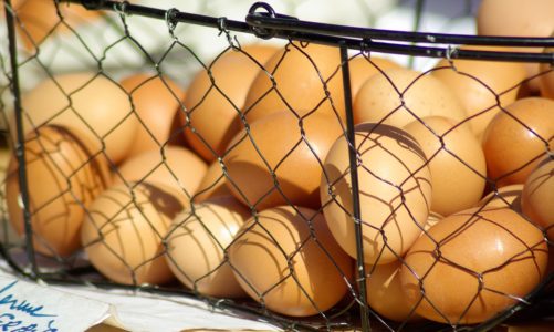 Jakie kupić jajka? Przeczytaj na co zwracać uwagę kupując jajka