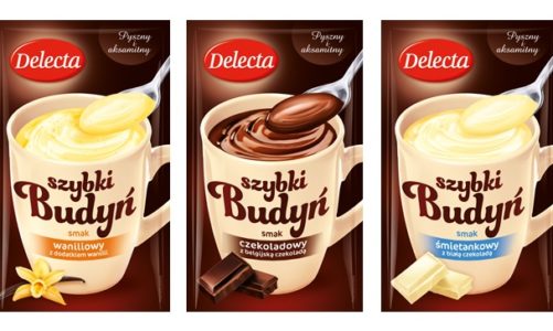 Pyszny i aksamitny Szybki budyń