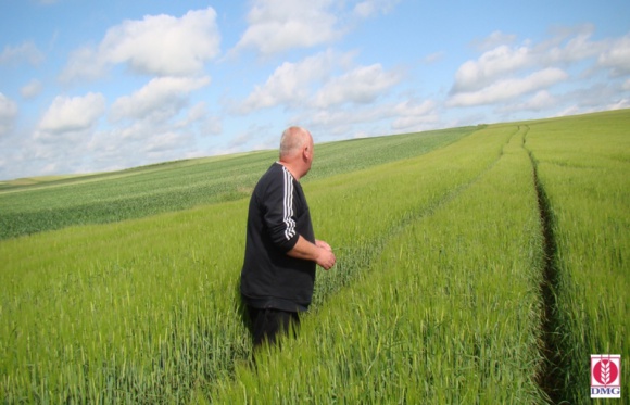 Ułatwienia dla producentów jęczmienia browarnego Rolnictwo, BIZNES - Producent słodu do produkcji piwa, Grupa DMG Polska, wdraża od bieżącego sezonu system samofakturowania dla dostawców jęczmienia browarnego. Nowy system ma usprawnić i ułatwić rozliczenia transakcji skupu surowca od rolników.