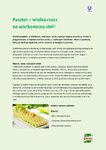 WIELKANOC_pasztet wielkanocny.pdf
