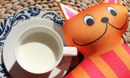 Mleko i nabiał w diecie niemowląt i dzieci – dlaczego są takie ważne?