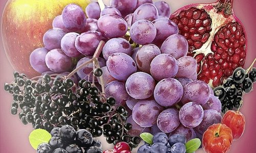 Antyoksydanty i wolne rodniki – co to właściwie jest?