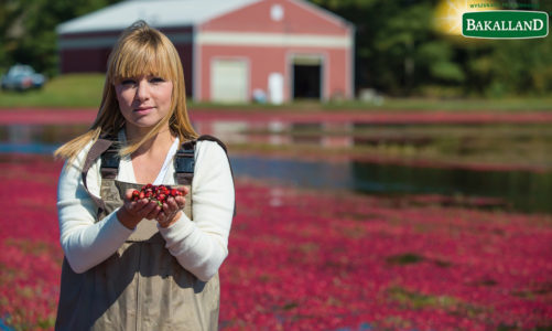 Żurawina zachwyca swoją wyjątkowością