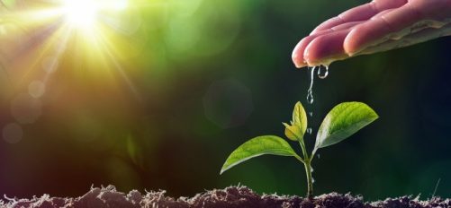 Kapitał na start dla najlepszych projektów agrotech