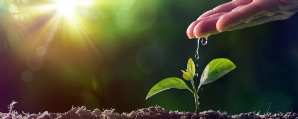 Kapitał na start dla najlepszych projektów agrotech