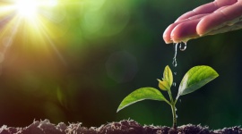 Kapitał na start dla najlepszych projektów agrotech Rolnictwo, BIZNES - AgriTech Hub – pierwszy polski fundusz venture capital w pełni dedykowany branży agrotech – rozpoczyna poszukiwania innowacyjnych projektów związanych z sektorem rolno-spożywczym. Maksymalna kwota dofinansowania projektu może wynieść do 3 mln złotych.