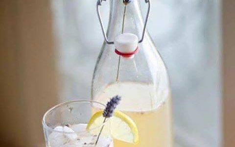 Lawendowa lemoniada i orzeĹşwiający napój miętowy