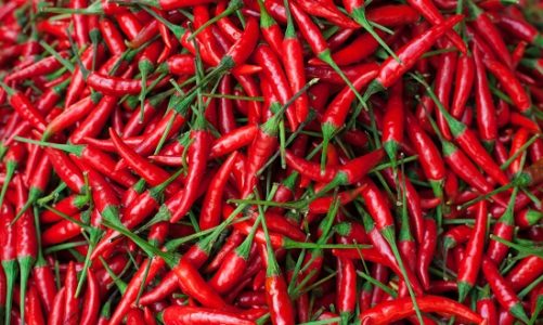 Ostre dania sposobem na udaną dietę