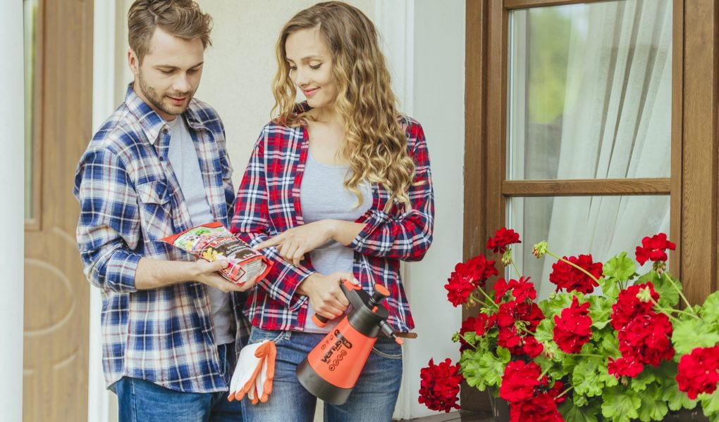 Czego pragną rośliny latem?