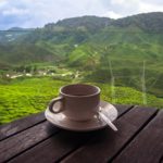 Sri Lanka , Cejlon z miłości do cejlońskiej herbaty