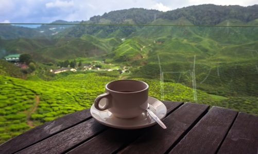 Sri Lanka , Cejlon z miłości do cejlońskiej herbaty