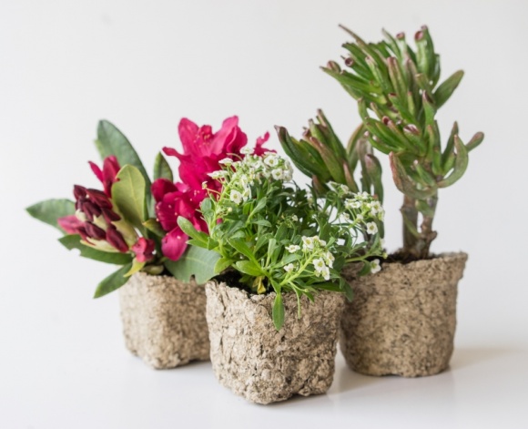 Świadomy i rozważny design. Czy zainwestujemy na przyszłość? BIZNES, Ochrona środowiska -