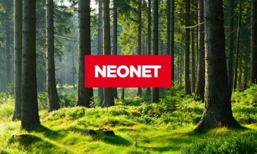 Jak dbać o środowisko i jeszcze na tym zyskać? NEONET znalazł sposób