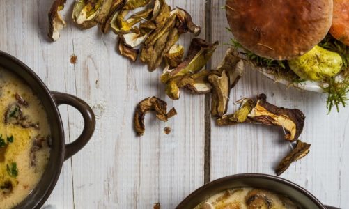 Prawdziwie leśna uczta – sezon na grzyby w kuchni rozpoczęty