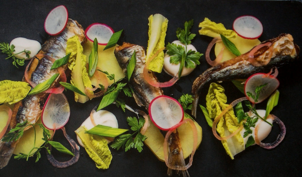 Za 40 lat ryby mogą zniknąć z mórz i oceanów