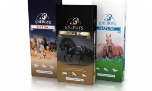 Żywienie szyte na miarę koni – mniej zbóż, więcej włókna