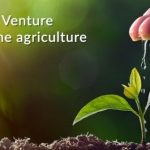 MIT Enterprise Forum Poland i Fundusz AgriTech Hub pomogą polskim startupom