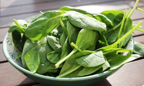 Dieta wegetariańska dla dzieci – zdrowa, czy nie?