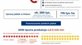 Czy przerobimy wszystkie jabłka? Polscy przetwórcy o sytuacji na rynku owoców Rolnictwo, BIZNES - Produkcja jabłek może w 2018 r. wynieść nawet do 4,5-5 mln ton, czyli o ok. 20 proc. więcej niż średnia z ostatnich 3 lat. Szacowana nadpodaż okazuje się być realnym problemem dla wielu uczestników rynku, w tym zarówno producentów, jak i przetwórców.