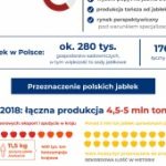 Czy przerobimy wszystkie jabłka? Polscy przetwórcy o sytuacji na rynku owoców