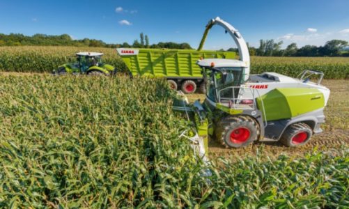 Razem dla Rekordów Polski