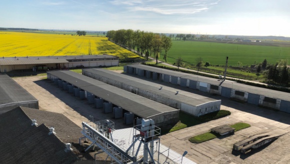 Jak rodzinne gospodarstwo stało się regionalną potęgą