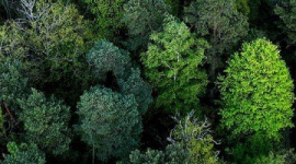 3M ogłasza wprowadzenie formalnego wymogu wspierania zrównoważonego rozwoju BIZNES, Ochrona środowiska - Na Szczycie Klimatycznym Organizacji Narodów Zjednoczonych (COP24) 3M ogłasza swój pierwszy wymóg o charakterze formalnym, dotyczący wprowadzania na rynek nowych produktów. Od 2019 roku każdy z nich będzie zgodny z Deklaracją Zrównoważonego Rozwoju przyjętą przez 3M.