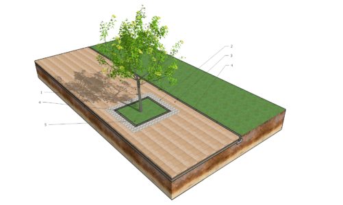 NAWIERZCHNIA MIÄDZY DRZEWAMI