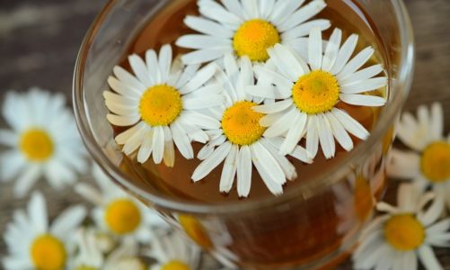 Ziołowe wsparcie w diecie dzieci