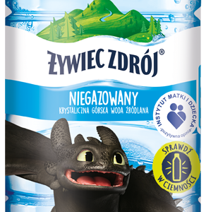 Bohaterowie przeboju kinowego „Jak wytresować smoka 3”