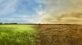 Fala upałów a ocieplenie klimatu BIZNES, Ochrona środowiska - Ekstremalne gorąco to już fakt – od wielu dni cała Polska zmaga się z wysokimi temperaturami i suszą. I mimo chwilowych kilkustopniowych, a nawet kilkunastostopniowych ochłodzeń, eksperci twierdzą, że te upały, to zaledwie wstęp do kolejnych fal gorąca, jakie nadejdą.