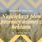 PROCAM Polska Sp. z o.o. idzie na Rekord Polski w plonie pszenicy ozimej