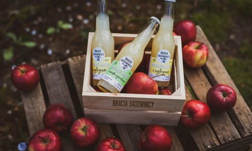 Automatycznie zapisany szkic