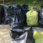 Trash Challenge – wrocławska firma podnosi rękawiczkę