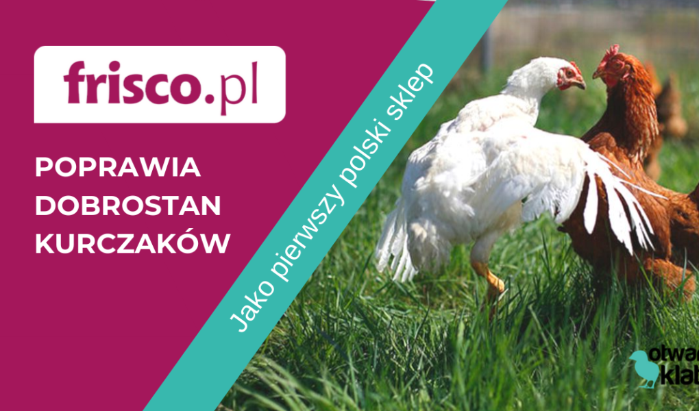 Frisco.pl w walce o godne warunki dla kurczaków brojlerów