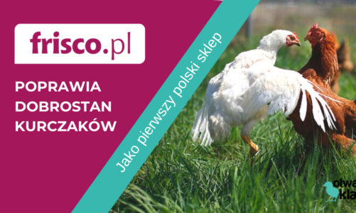 Frisco.pl w walce o godne warunki dla kurczaków brojlerów