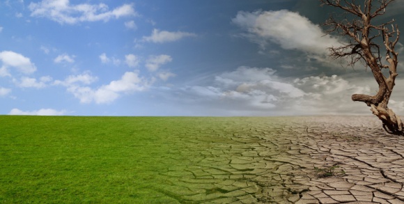 Deficyt wody coraz bardziej dotkliwy – alarmujące dane BIZNES, Ochrona środowiska - Polska, choć leży w umiarkowanej strefie klimatycznej, nie jest krajem zasobnym w wodę. Dodatkowo, po rekordowo ubogim w opady styczniu 2020 r., można spodziewać się znacznych problemów w cieplejszych miesiącach – szczególnie latem należy być przygotowanym na suszę.