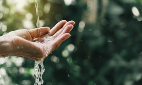 Nestlé Waters intensyfikuje działania w zakresie zrównoważonego rozwoju