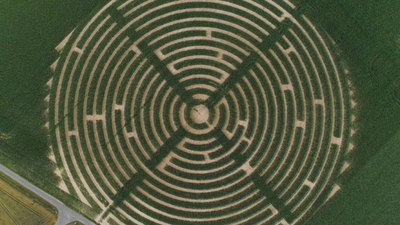 Gigantyczne labirynty kukurydziane pojawiły się w Polsce. Rolnictwo, BIZNES - Corteva Agriscience wspiera polskich rolników w nietypowych projektach.