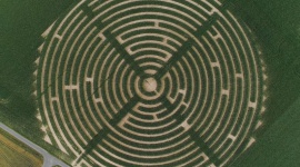 Gigantyczne labirynty kukurydziane pojawiły się w Polsce. Rolnictwo, BIZNES - Corteva Agriscience wspiera polskich rolników w nietypowych projektach.