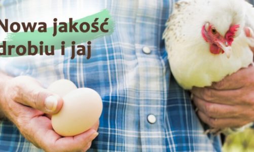 „Bezpieczne z Natury” – gwarancja najwyższej jakości drobiu i jaj