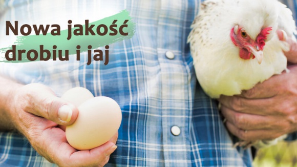 „Bezpieczne z Natury” – gwarancja najwyższej jakości drobiu i jaj